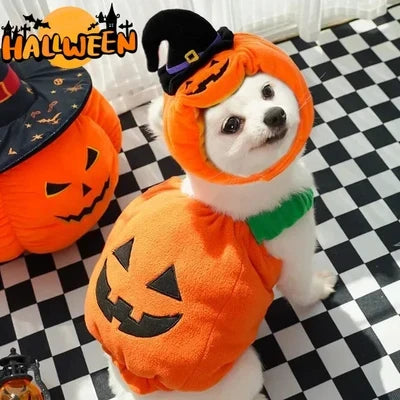 Pet