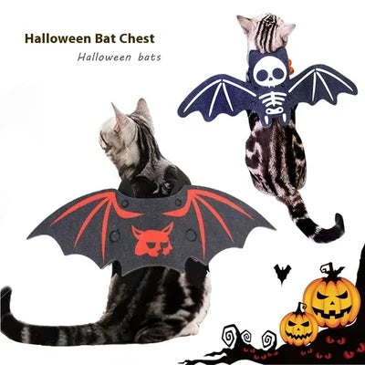 Bat