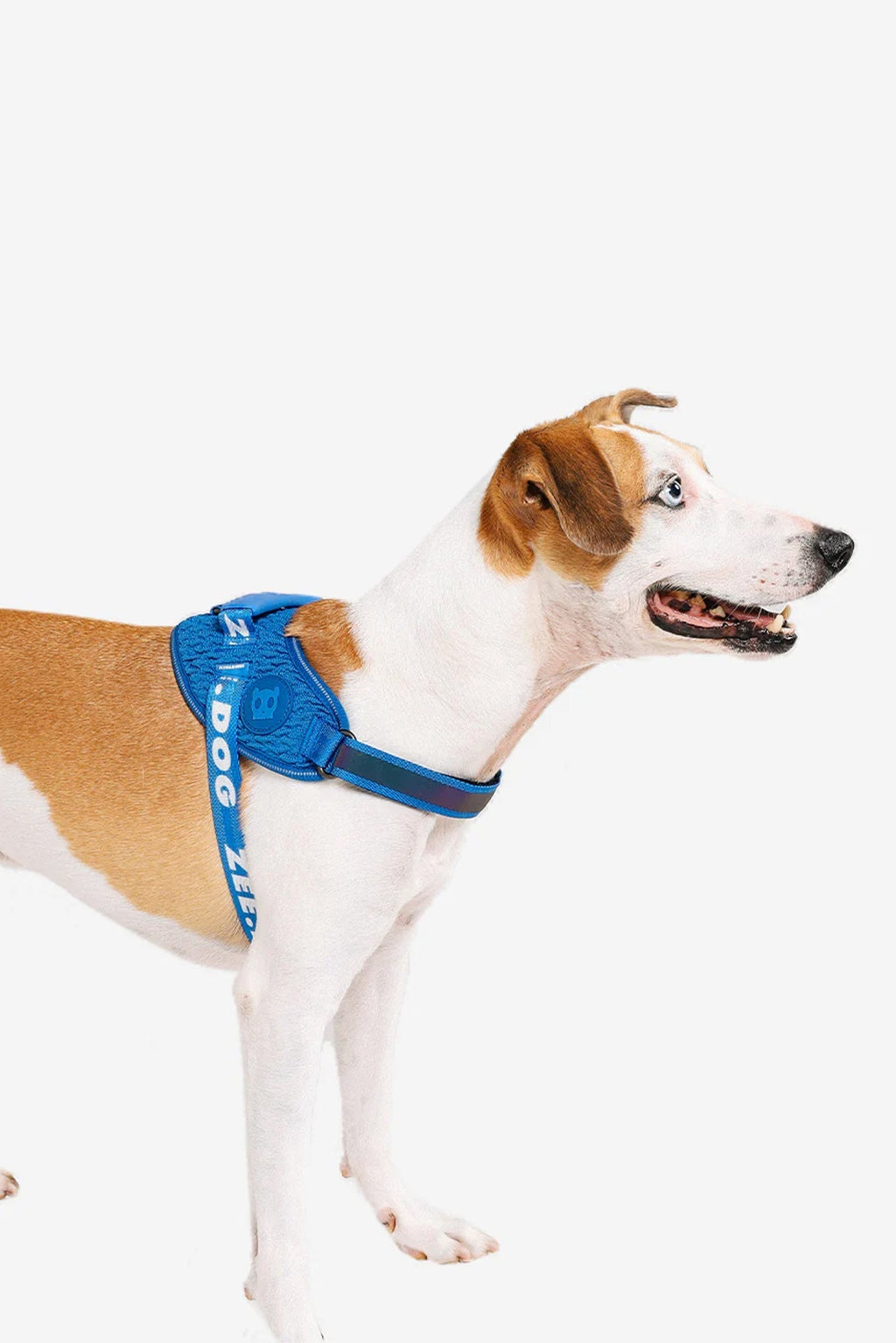 Zee.Dog Slam Dunk Dog Fly Harness