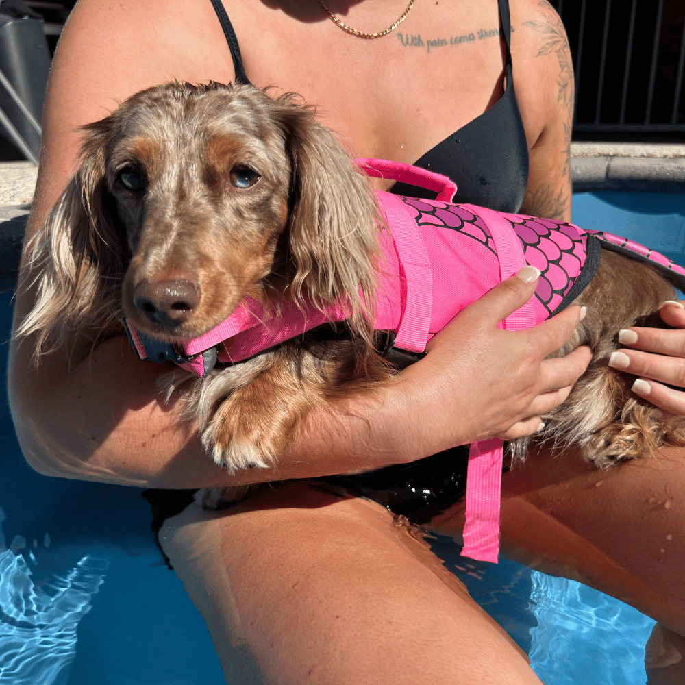 Mermaid Dog Life Jacket