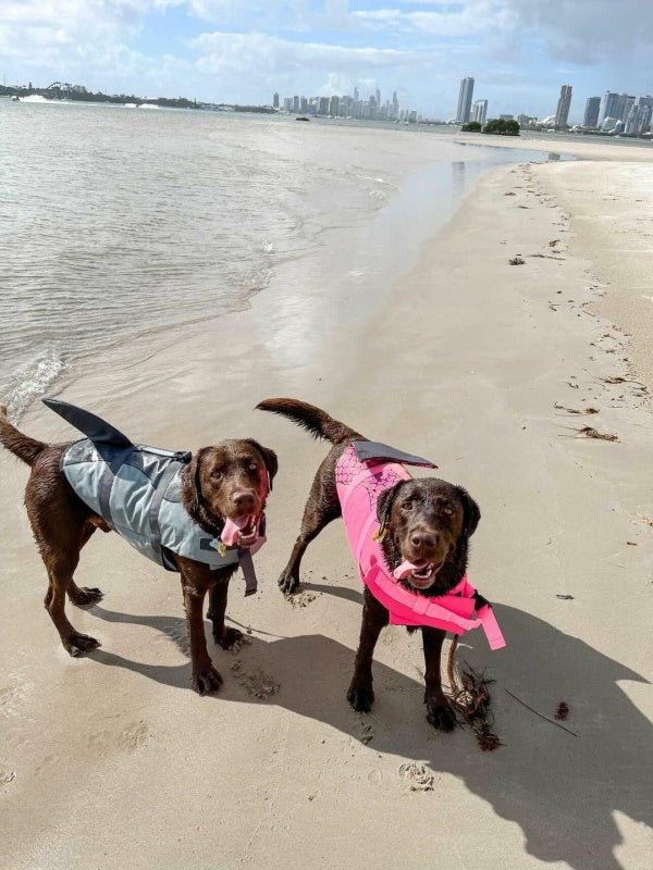 Shark Dog Life Jacket